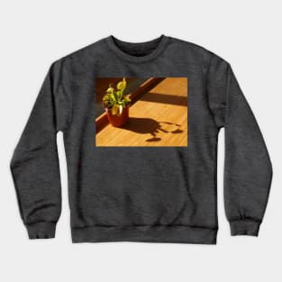 Venus Flytrap on Tray Crewneck Sweatshirt